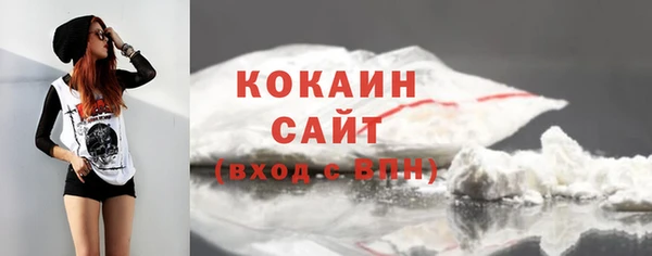 a pvp Горняк
