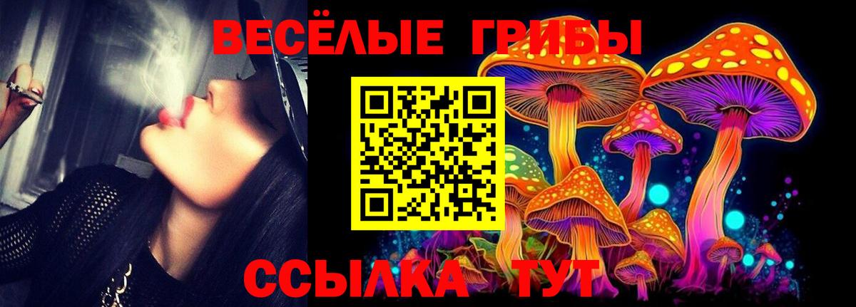 Псилоцибиновые грибы мицелий Дятьково