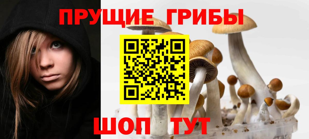 Псилоцибиновые грибы Cubensis  Вход с VPN  Дятьково 